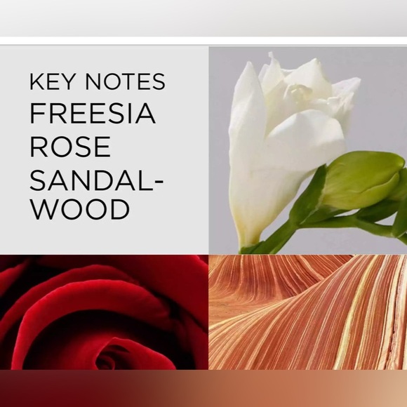 BNIB Elizabeth Arden Red Door Fragrance - 50 ml - Picture 4 of 6